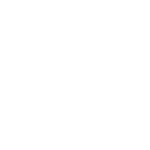 faema logo